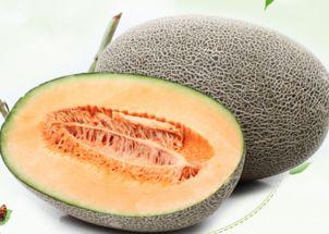 最新吃瓜免费网站大全,2023年度最新免费吃瓜网站大全盘点  第3张