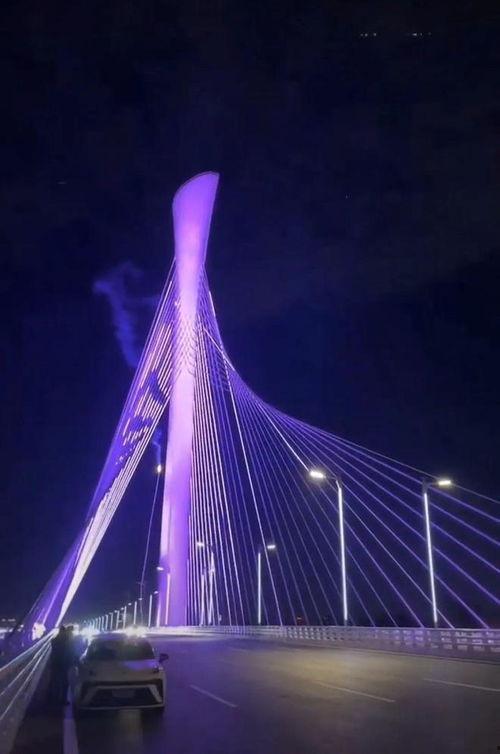 石家庄大桥爆料视频最新,揭秘工程进展与争议焦点 第1张 石家庄大桥爆料视频最新,揭秘工程进展与争议焦点 第1张